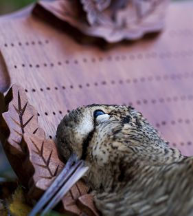 sneppeplade.dk,sneppeplade,trofæplade,opsatsplade,jagt,jæger,sneppe,woodcock,svineplade,vildsvinejagt,sneppejagt,